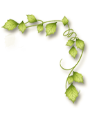 真岡市 美容室 リーフ